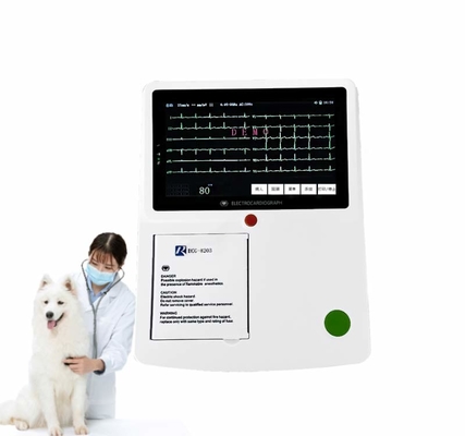 12 impressora veterinária PC Software do canal da máquina 3 de Ecg do eletrocardiograma de Ekg da ligação